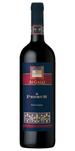 AI GALLI „PROBUS” ROSSO BARRIQUE 2021 VENETO